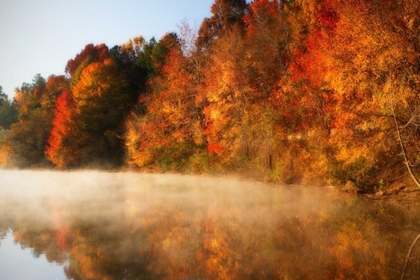 Picture of AUTUMN MIST IV