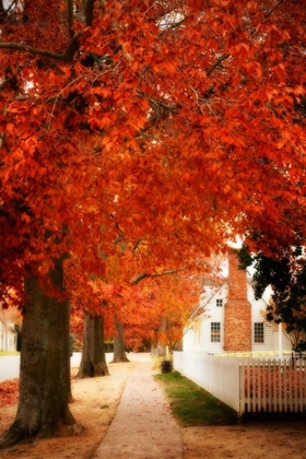 Picture of SMALL TOWN AUTUMN I