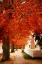 Picture of SMALL TOWN AUTUMN I