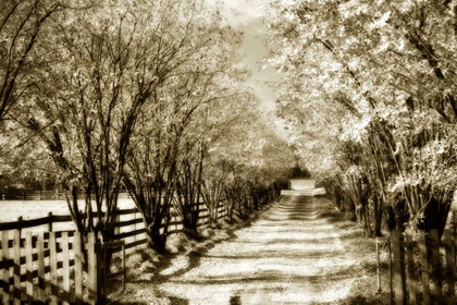 Picture of GLEN ALLEN FARM I