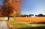Picture of FAMILY FARM I