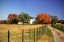 Picture of FAMILY FARM II