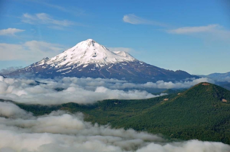 Picture of MT. SHASTA