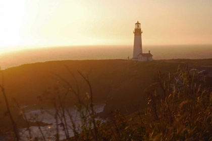 Picture of YAQUINA SUNSET