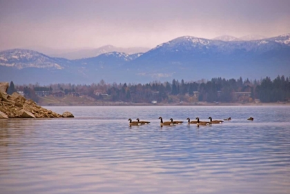 Picture of SANDPOINT I