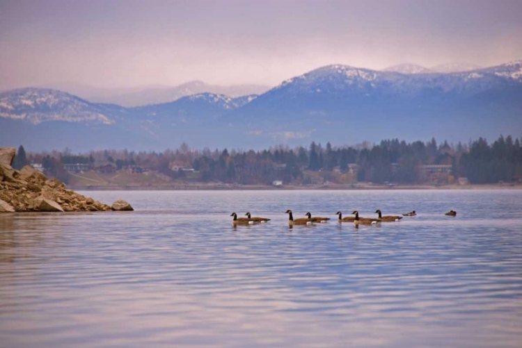 Picture of SANDPOINT I