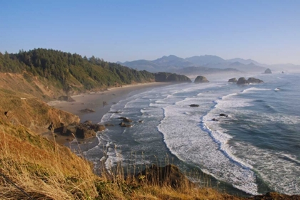 Picture of ECOLA AFTERNOON I