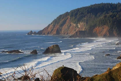 Picture of ECOLA AFTERNOON II