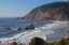 Picture of ECOLA AFTERNOON II