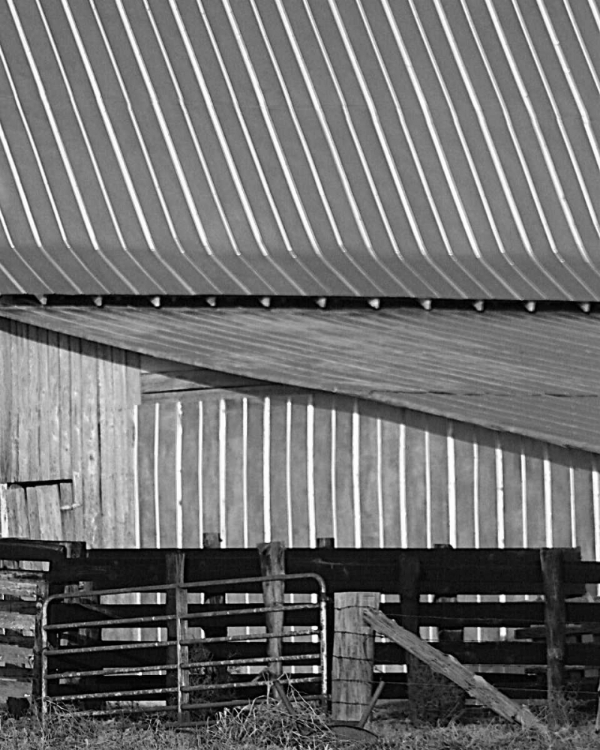 Picture of BIG BARN II