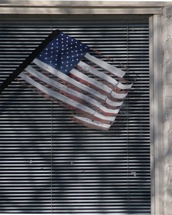 Picture of WINDOW FLAG I
