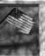 Picture of WINDOW FLAG II