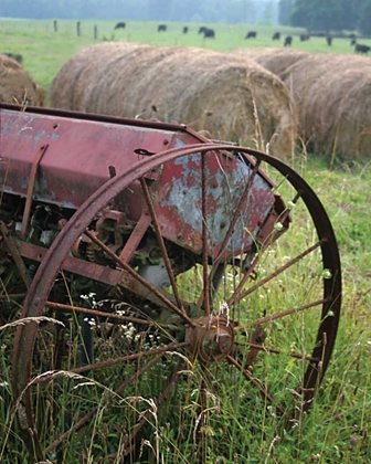 Picture of SEWING SEEDS I