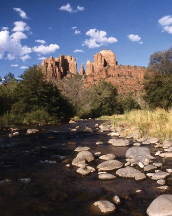 Picture of DESERT STREAM I