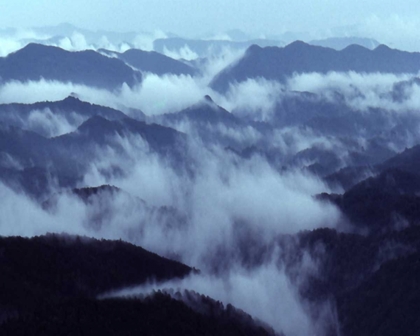 Picture of SMOKEY MOUNTAINS I