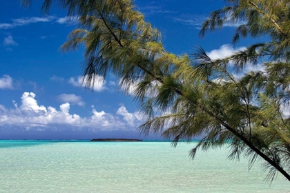 Picture of SANDBAR PELICAN CAY