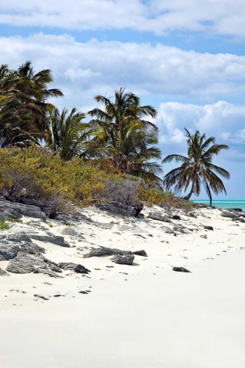 Picture of SCHOONER CAY COASTLINE