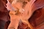 Picture of LOWER ANTELOPE I