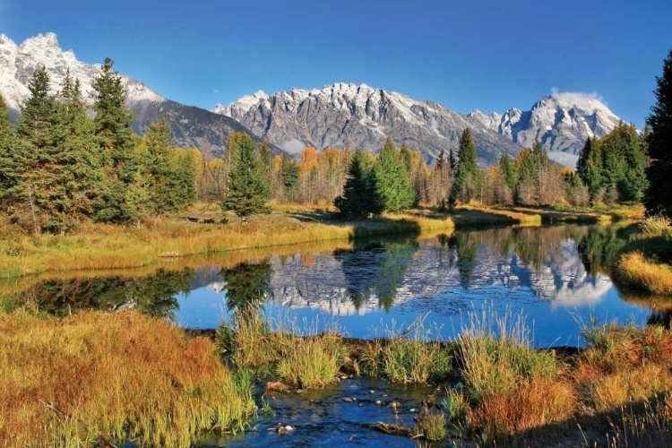 Picture of SCHWABACHER POND