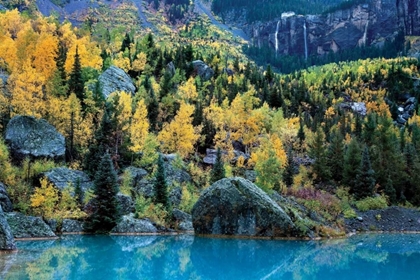 Picture of BRIDAL VEIL I