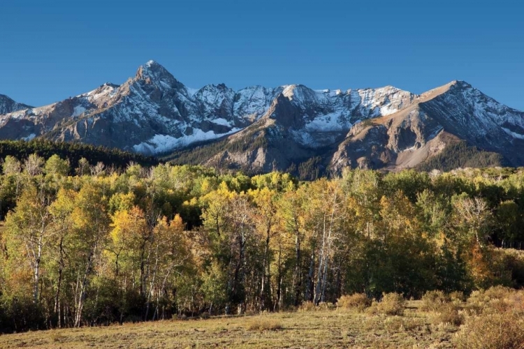 Picture of SNEFFLES RANGE DALLAS DIVIDE