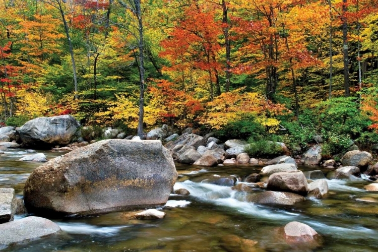 Picture of SWIFT RIVER PASS SCENIC