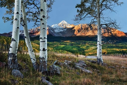 Picture of WILSON PEAK ASPENS I