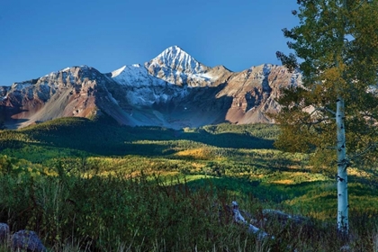 Picture of WILSON PEAK ASPENS II