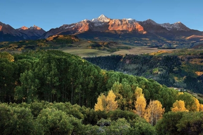 Picture of WILSON PEAK YELLOW ASPEN HILLS