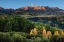 Picture of WILSON PEAK YELLOW ASPEN HILLS