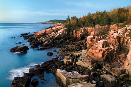 Picture of ACADIA COASTLINE