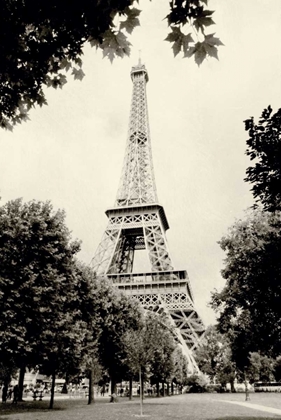 Picture of EIFFEL TOWER I