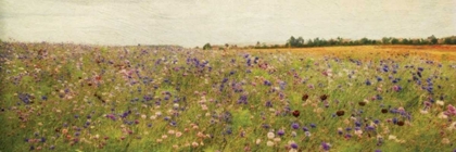 Picture of WILDFLOWER FIELD I