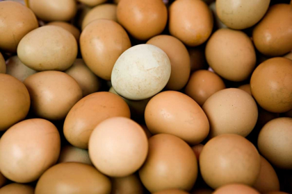 Picture of EGGS II