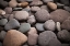 Picture of PEBBLE PATCH I