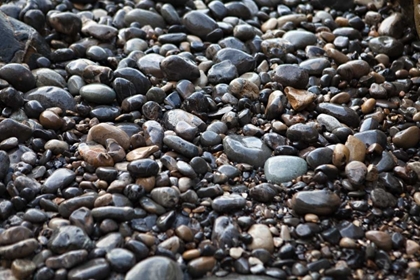 Picture of PEBBLE PATCH II