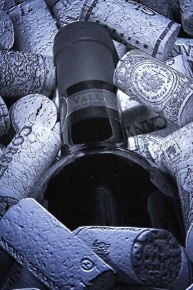 Picture of BURIED WINE BOTTLE