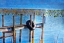Picture of BOAT DOCK PASTEL