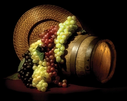 Picture of WINE GRAPES