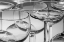 Picture of WINE GLASSES