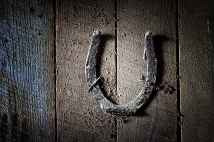 Picture of HORSESHOE