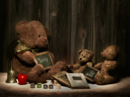 Picture of TEDDYBEAR SCHOOL