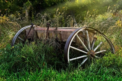Picture of ABANDONED FARM EQUIPMENT