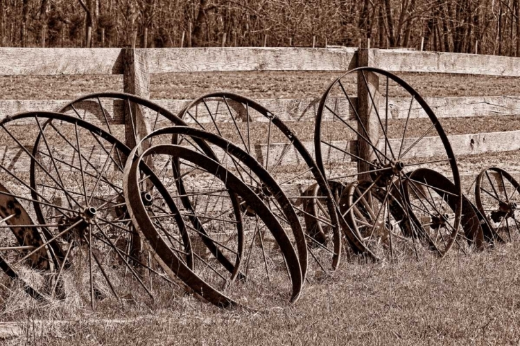 Picture of ANTIQUE WAGON WHEELS I