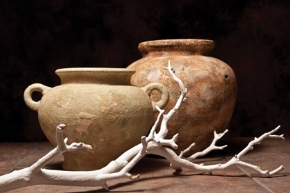 Picture of POTTERY WITH BRANCH I
