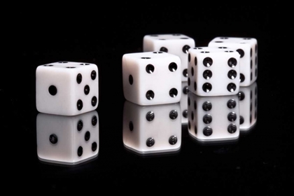 Picture of DICE II
