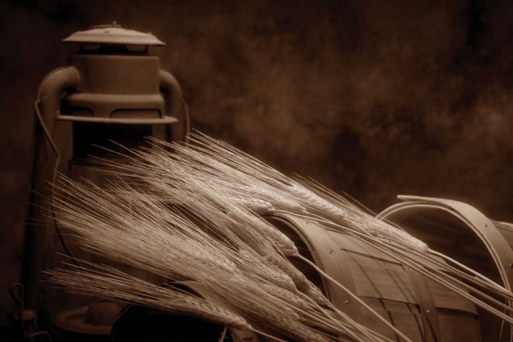 Picture of STILL LIFE WITH WHEAT I