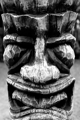 Picture of TOTEM II