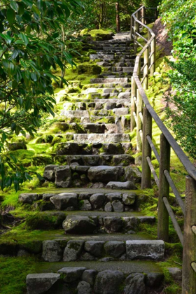 Picture of STEPS III