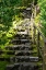 Picture of STEPS III